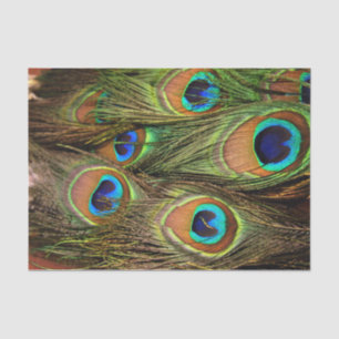 Peacock Feathers Tissue Paper