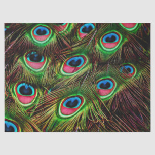 peacock feathers tissue paper
