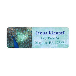 Peacock Feathers Turquoise Return Address Labels