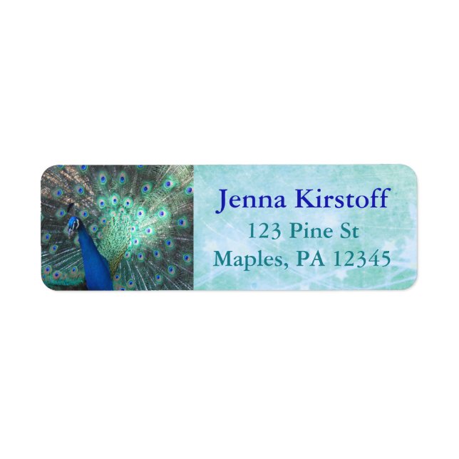 Peacock Feathers Turquoise Return Address Labels (Front)