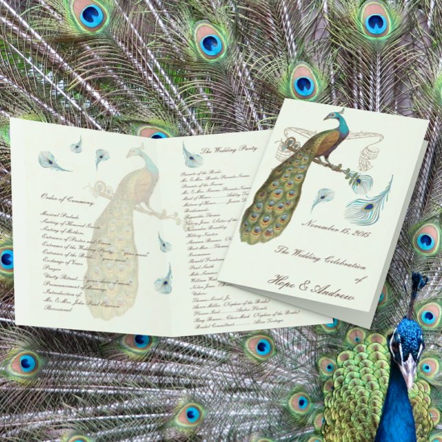 Peacock Feathers Wedding Program (Creator Uploaded)