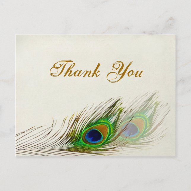 Peacock feathers Wedding Thank you Postcard (Front)