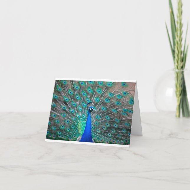 Peacock folded note card (Devant)