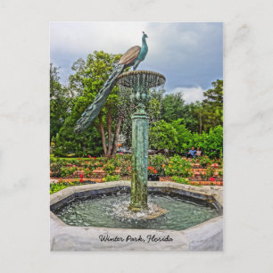 Peacock Fountain & Rose Garden in Winter Park FL Postcard