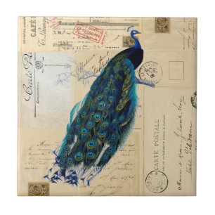 Peacock French Postcards Tile or Trivet