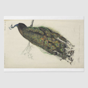 Peacock French Script Ephemera Decoupage Tissue Paper