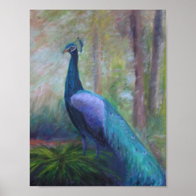 PEACOCK FROM THE FOUNTAIN OF YOUTH Poster (Front)