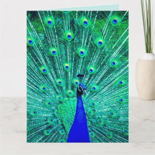 PEACOCK FUNNY BIRTHDAY GREETING CARD