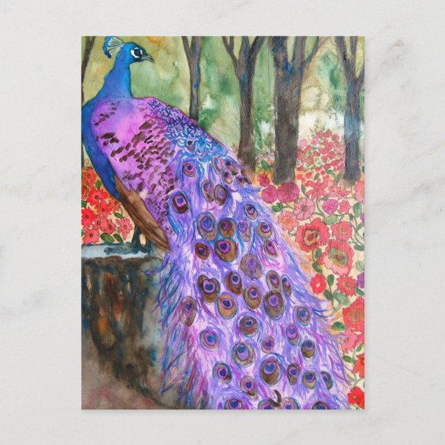 Peacock Garden Postcard (Front)