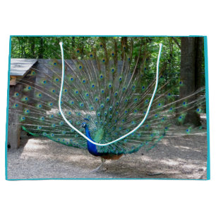 Peacock gift bag