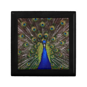 Peacock Gift Box