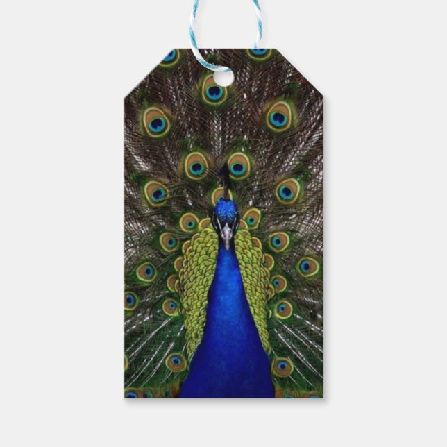 Peacock Gift Tags (Front)