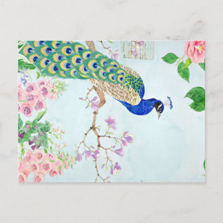 Peacock Graphic | Enchanted Peacock | Peacock Announcement Postcard