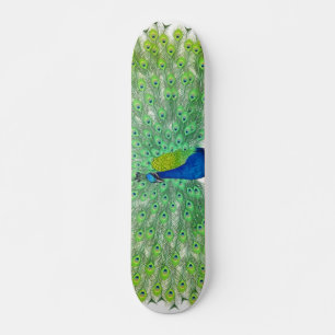 Peacock Great Look Skateboard