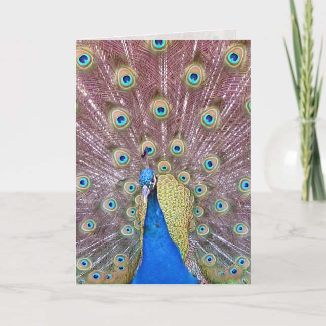 Peacock Greeting Card (Front)