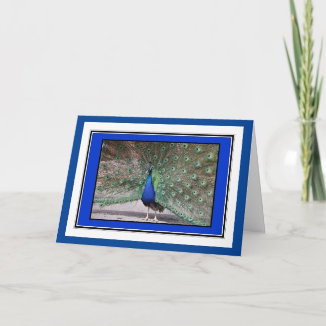 Peacock Greetings Card (Front)