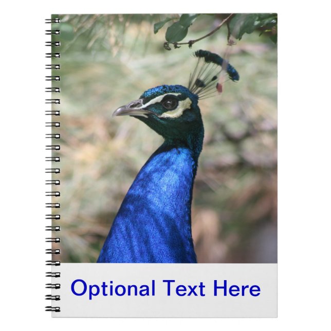 Peacock Head Closeup Notebook (Front)
