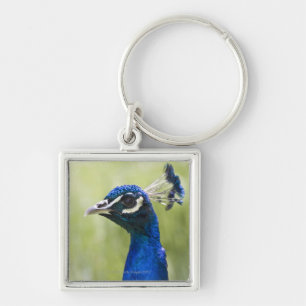 Peacock head keychain