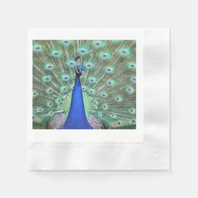 Peacock, hi def photography on Napkin (Front)