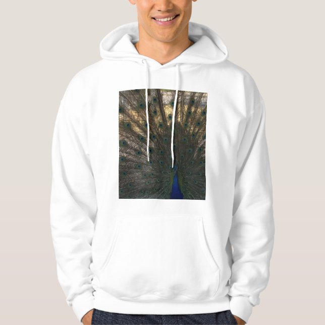 Peacock Hoodie  (Front)