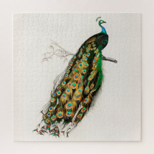 Peacock Illustration Vintage Art Print Jigsaw Puzzle