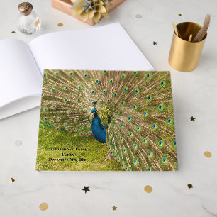 Peacock Image Guest Book
