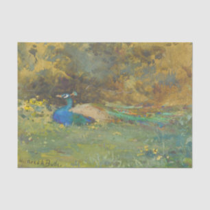 Peacock in a Garden by Mildred Anne Butler Tissue Paper