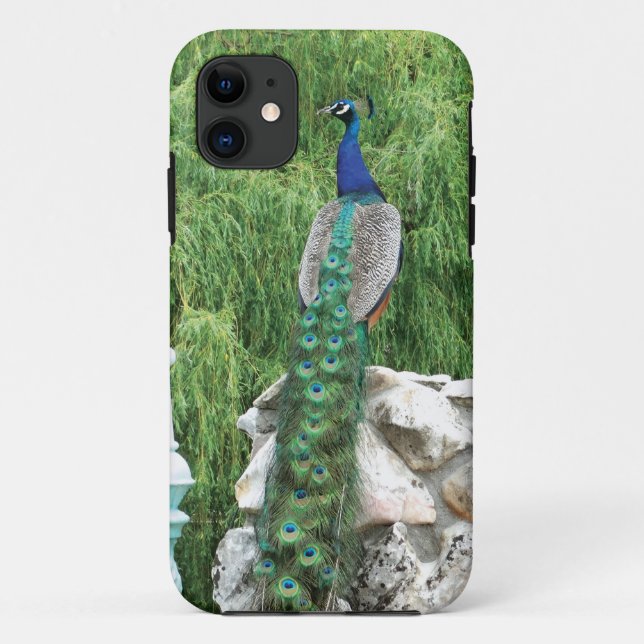 Peacock in A Garden  iPhone SE case (Back)