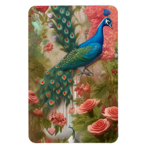 Peacock in Apricot Rose Garden Magnet
