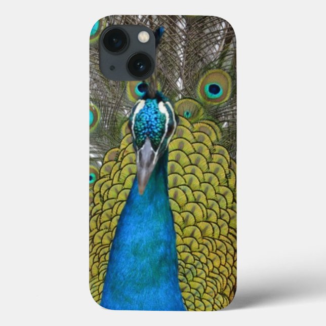 Peacock in Kauai Hawaii Case-Mate iPhone Case (Back)