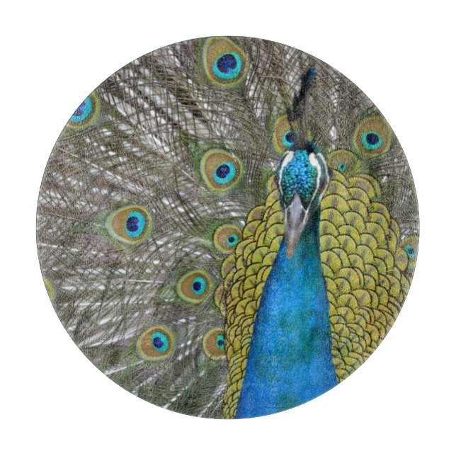 Peacock in Kauai Hawaii Cutting Board (Front)