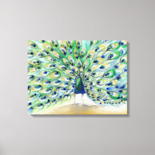 Peacock in San Diego 2 2013 Canvas Print