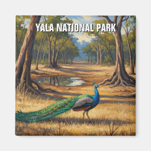 Peacock in Sri Lanka Yala National Park Travel Magnet
