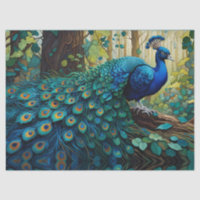 Peacock in the woods