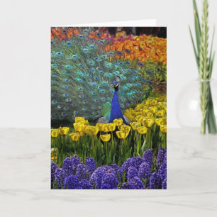 Peacock in Tulips Card