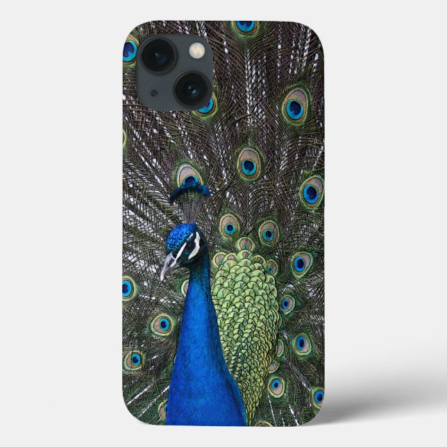 Peacock iPad Case (Back)