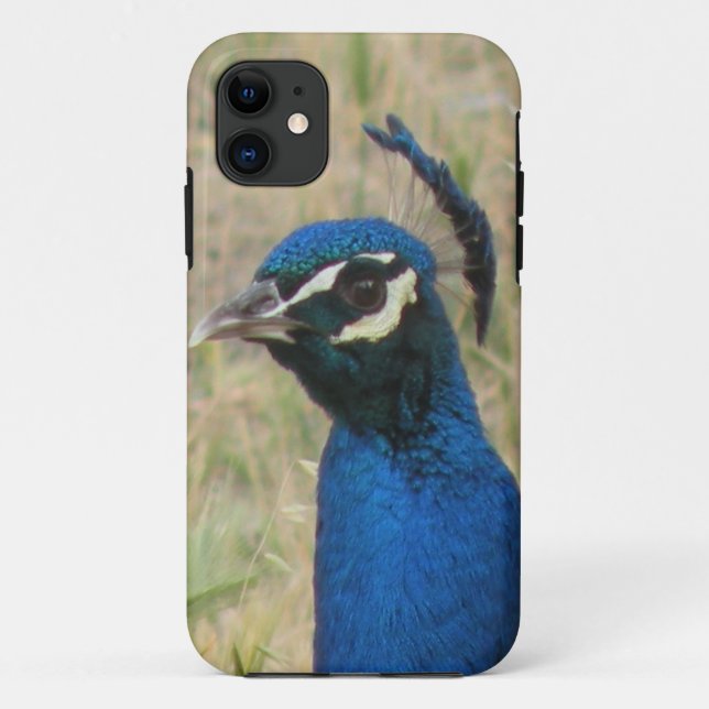 Peacock iPhone 5 Case (Back)