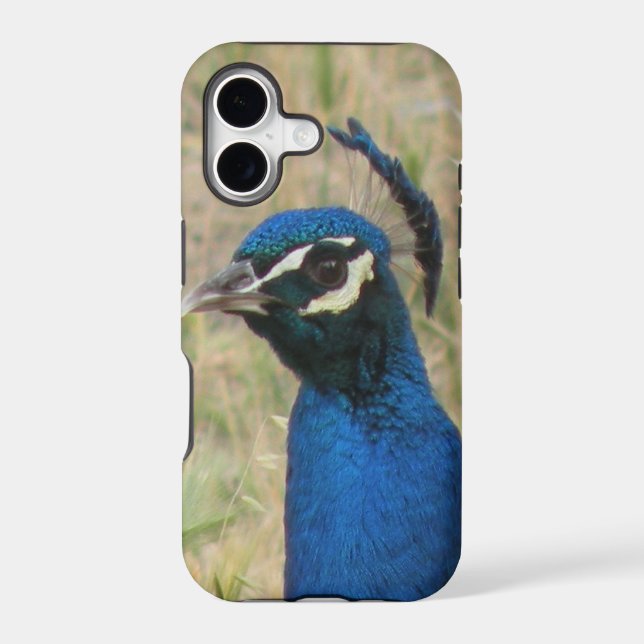 Peacock iPhone 5 Case (Back)