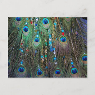 Peacock Jewelery Postcard