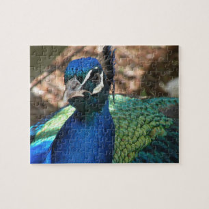 Peacock Jigsaw Puzzle