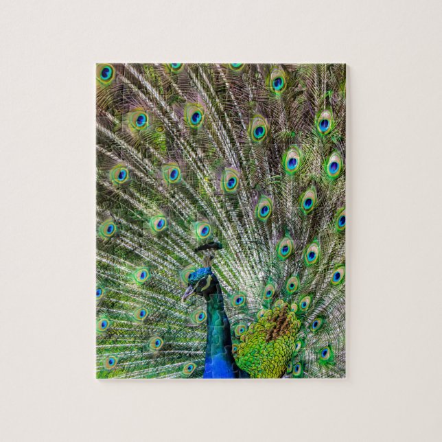 Peacock Jigsaw Puzzle (Vertical)