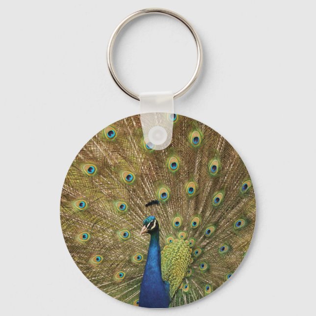 peacock keychain (Front)