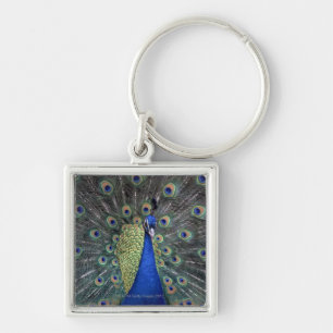 Peacock Keychain