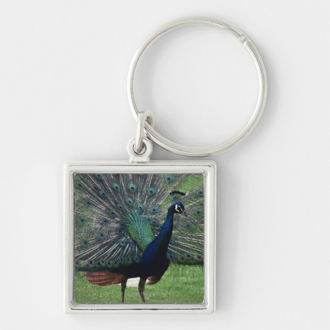 Peacock Keychain (Front)