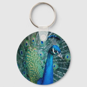Peacock, keychain