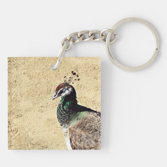 Peacock Keychain (Back)
