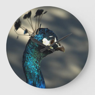 Peacock Large Clock