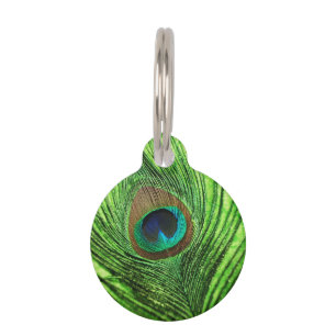 Peacock Lime Green Pet Tag