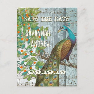 Peacock Love Bird Sitting in a Tree Save the Date Announcement Postcard