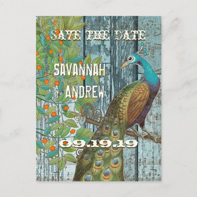 Peacock Love Bird Sitting in a Tree Save the Date Announcement Postcard (Front)